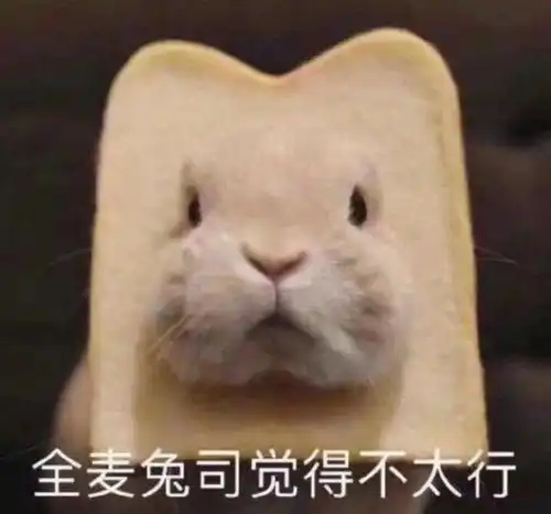  沙雕表情包l早上好读书人