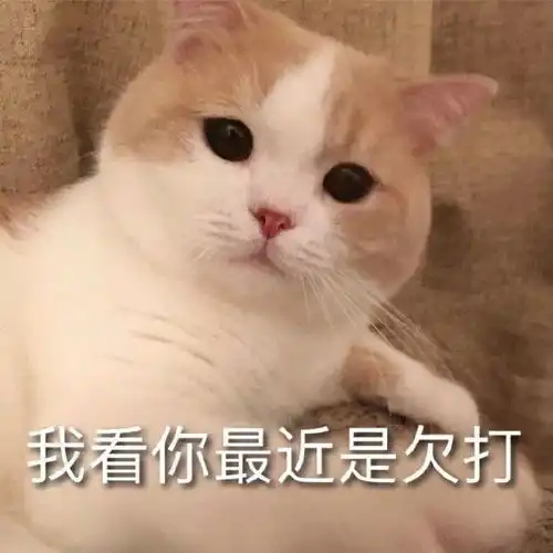  表情包我看你最近是欠打