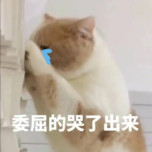  沙雕表情包l害当个美少女可真难啊