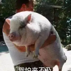  没有7比0胜似7比0moon完美复仇sok