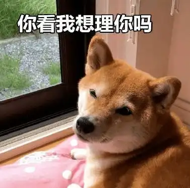  狗狗梦里有没有你它入睡20分钟后你就知道了