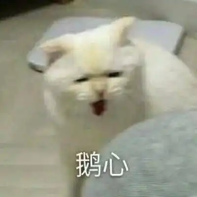豚鼠特工队表情包松根