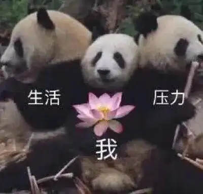生气熊猫表情包动图画风