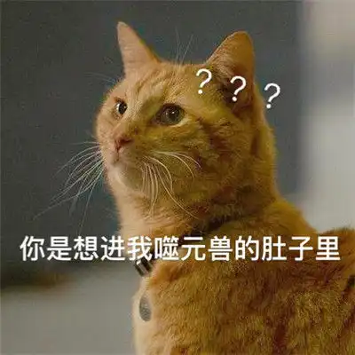  惊奇队长橘猫噬元兽表情包分享