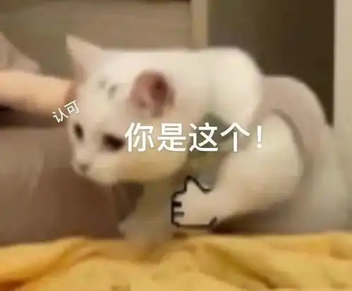  严查严整高安三四轮摩托车电动车整治强势来袭