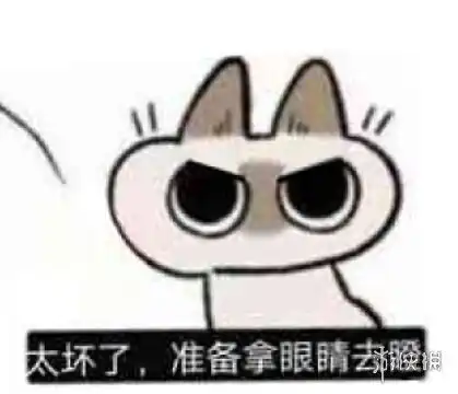  太坏了准备拿眼镜去瞪太坏了猫表情包汇总游侠手游