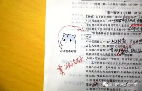  清河志臻用表情包做评语这样的老师给我来一打