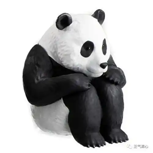  表现力及情趣十足的6款日本创意