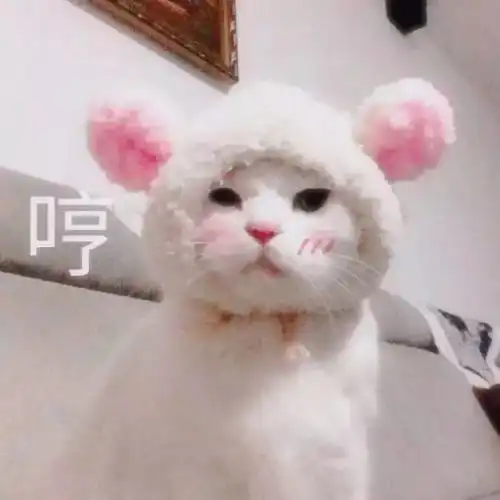  真香定理这个寒假还能这样