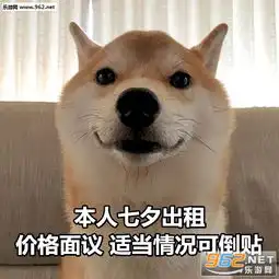 七夕单身狗柴犬图片七夕单身狗表情包柴犬下载乐游网游戏下载 七夕单身狗柴犬图片七夕单身狗表情包柴犬下载乐游网游戏下载