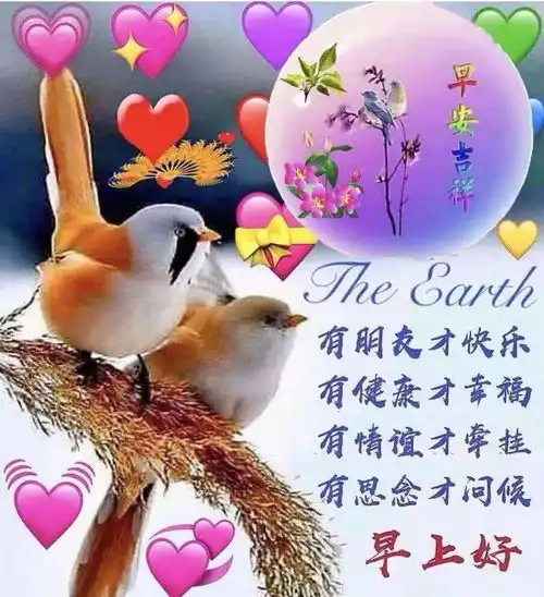  老同学们大家早上好表情图片,老同学不离不弃,真心相伴