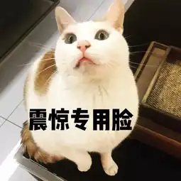  表情包你表情包太多,不想和你聊了