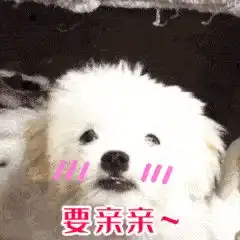  有没有给女朋友亲亲的表情包