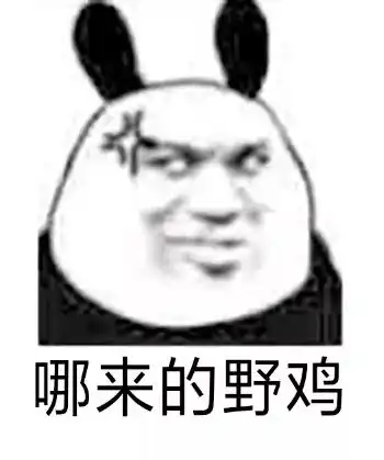  熊猫头表情包你怎么聊着聊着就不见了