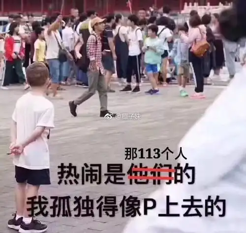  双十一,没成为王思聪113分之1的我,一点不伤心...