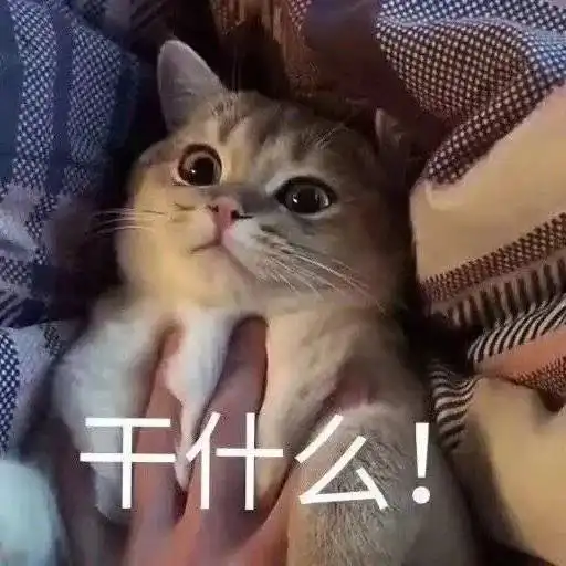  表情包一脸懵逼