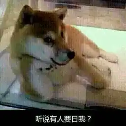  你知道今天是你画鸡蛋的日子吗