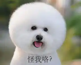  里约值得撸以后乒乓可能只有像这样才有人看了