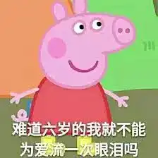  小猪佩奇,假笑boy....2017年最全表情包大赏