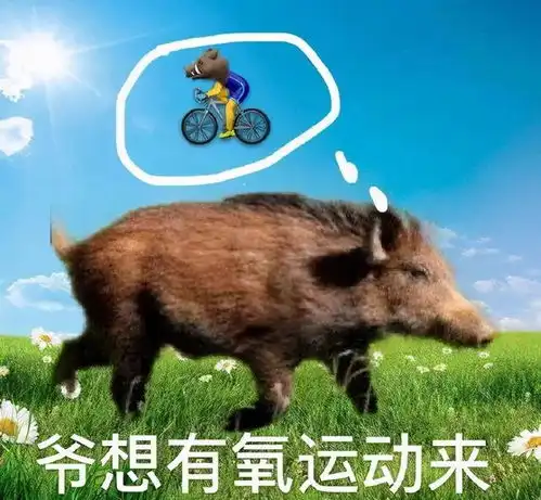  一个中年男人的生活崩塌