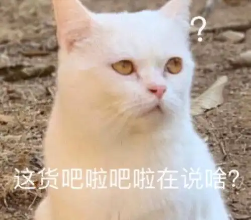  笑话段子今年业绩非常好,公司举行活动,每人有一次套圈的机会