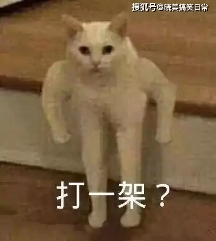  每日一笑大学女生宿舍日常,美女都是穿最粉嫩的衣服说最狠的话