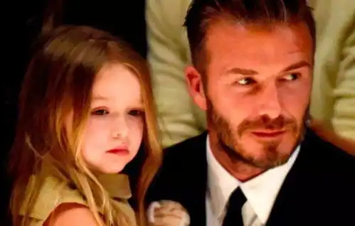  小七哈珀太幸福了贝克汉姆提前起床制造圣诞老人来过的情景