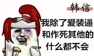  王者荣耀用表情包总结一下王者荣耀的2016