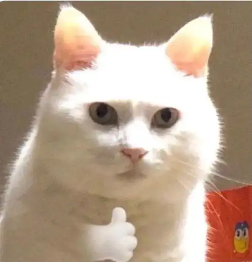  沙雕表情没有困难的工作,只有勇敢的打工人