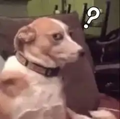  都是一百多岁的老人了居然还在抢c位