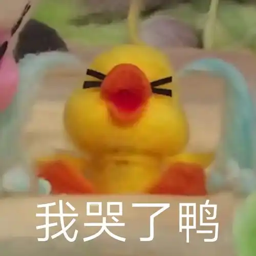  老婆们,我科三挂了呜呜呜
