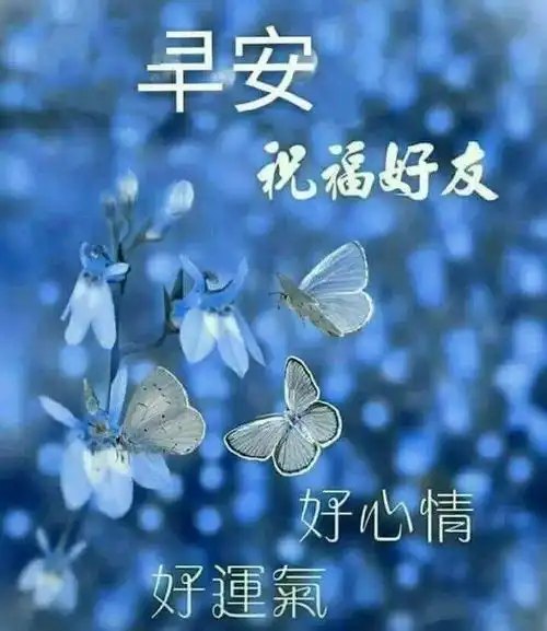  10月13日阳光暖心的早上好问候祝福动态图片清晨美丽的早安问候语动态表情图片