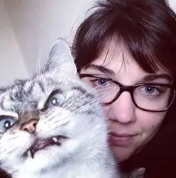  你连表情包里猫的名字都不知道,还敢说爱猫