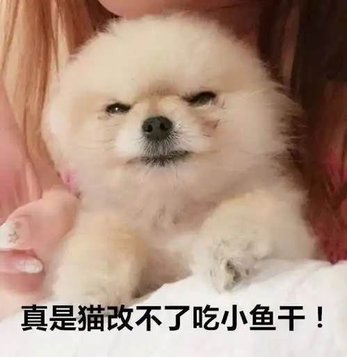  双十一风头那么大,据说破亿的数据是刷出来的