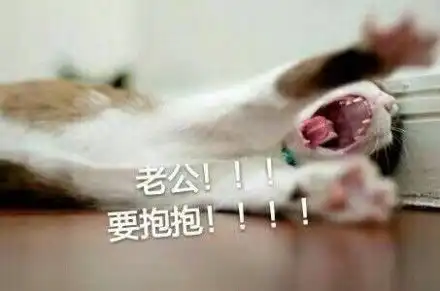  一组猫咪喊老公表情包简直萌翻了