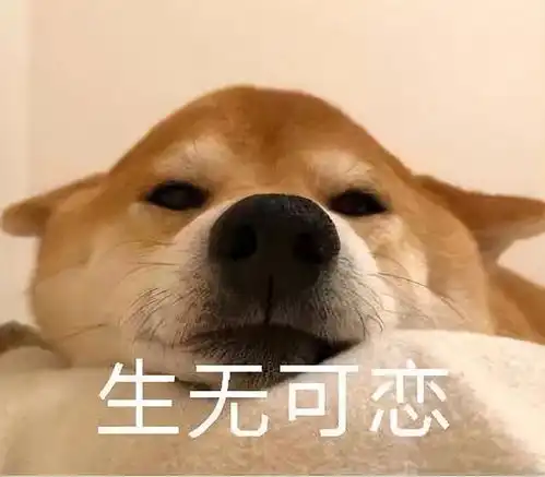  狗至贱,则无敌你知道一只狗能贱到什么程度吗