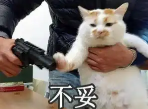 罐头怎么选雅适用品告诉你