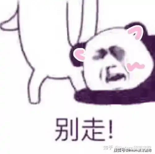  什么是留学生的快乐星球