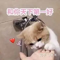  想问一下这种微博视频是可以看到访客的吗