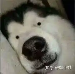 美颜的表情包