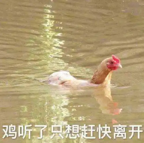 野鸡脖子表情包
