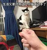  微信聊天斗图专用表情包爱你是不是要我把心掏出来给你看