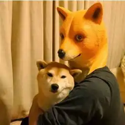  养一条狗至少要花10万,养几条狗的你们家是有矿吗