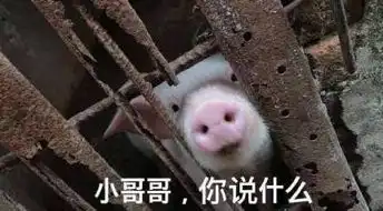  嘘寒问暖,不如打笔巨款,这次玩命送你千元大奖