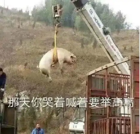  超皮的聊天表情即使听着苏喂苏喂,也心如止水