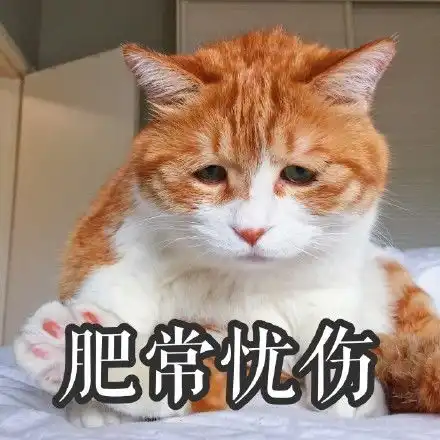 令人作藕表情包无水印猫