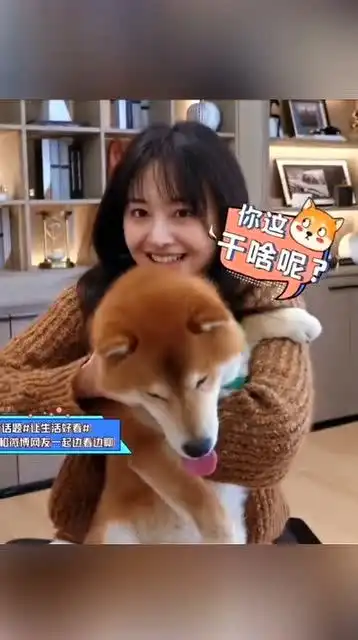  郑爽抱着狗狗做表情包