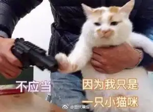  沉迷游戏也算精神病每日轻松一刻11月15日晚间版