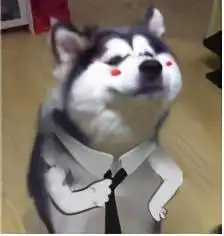  经历过基金毒打的韭零后,已经开始买保险了