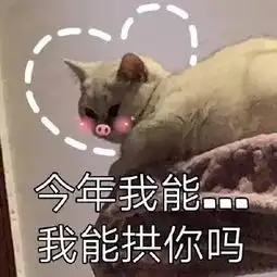  表情包丨苏喂苏喂苏喂